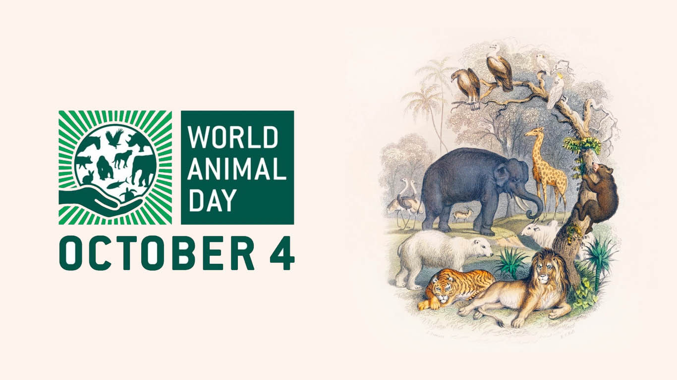 World Animal Day - unatoday